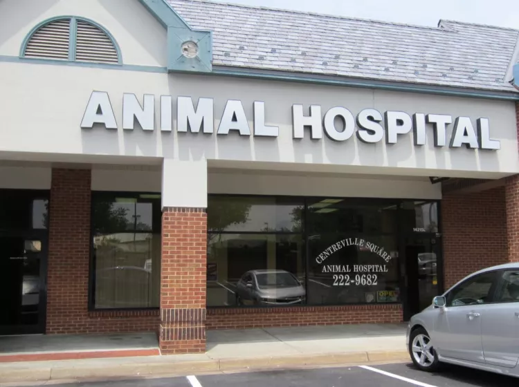 Centreville Square Animal Hospital, Virginia, Centreville